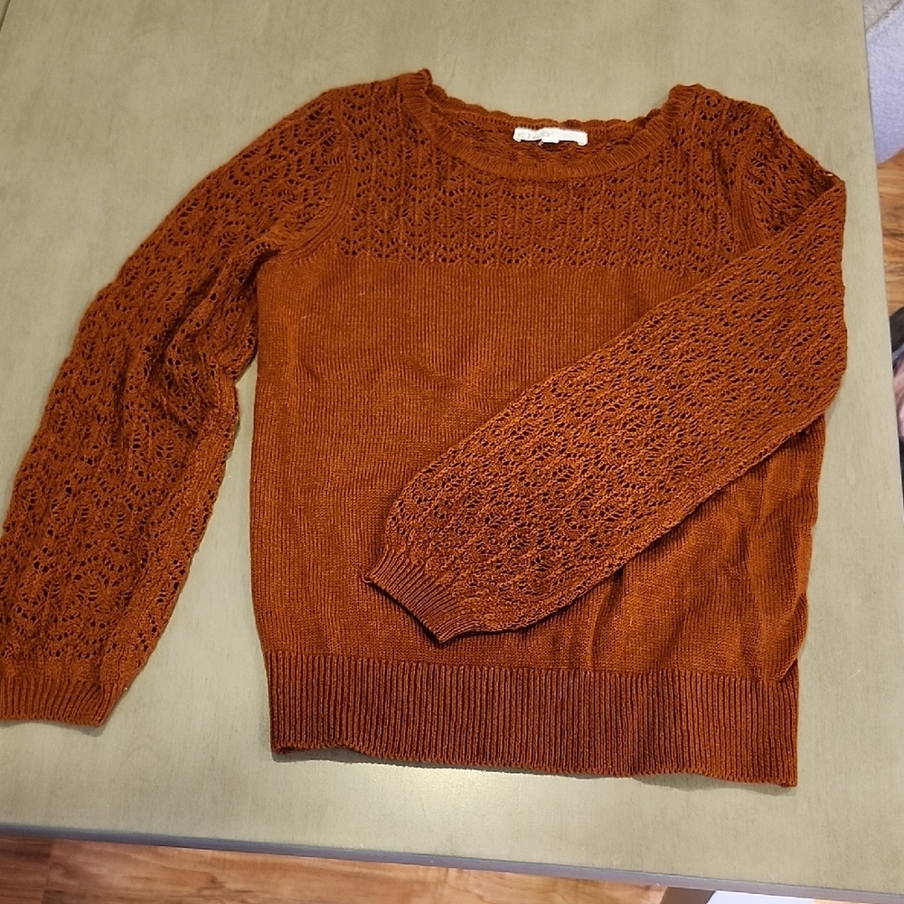 Cleo Beauruful Warm Rust Crew Neck Sweater With Knitted Detailing